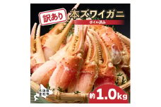 【順次出荷】訳あり 冷凍 ボイル ずわいがに 爪 1kg ズワイガニ | ギフト 2025