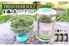 限定生産！手摘み生ハーブソルト詰め合わせ