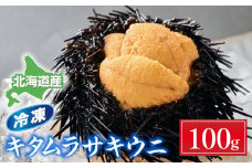 先行予約 登別近海産 キタムラサキウニ 冷凍パック100g【6月以降順次配送】| うに 高級 ウニ 雲丹 生ウニ キタムラサキウニ 小分け 北海道 ふるさと 人気 ランキング 送料無料 