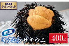 先行予約 登別近海産 キタムラサキウニ 冷凍パック400g【6月以降順次配送】| うに 高級 ウニ 雲丹 生ウニ キタムラサキウニ 小分け 北海道 ふるさと 人気 ランキング 送料無料 
