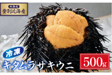先行予約 登別近海産 キタムラサキウニ 冷凍パック500g【6月以降順次配送】| うに 高級 ウニ 雲丹 生ウニ キタムラサキウニ 小分け 北海道 ふるさと 人気 ランキング 送料無料 