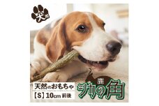 北海道産熊笹 犬が喜ぶおやつ♪ 鹿角 1本 Sサイズ 【小型犬におすすめ】