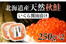 北海道産天然秋鮭 いくら醤油漬け 500g（250g×2） 登別産 海の幸 いくら イクラ 小分け 鮭いくら 鮭イクラ イクラ醤油漬 イクラ醤油漬け 鮭 鮭卵 ikura いくら醤油漬 冷凍いくら 冷凍イクラ いくら北海道 イクラ北海道 醤油鮭いくら 醤油鮭イクラ 2025 人気 ふるさと納税 北海道 登別市