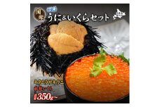 先行予約 登別近海産 冷凍 キタムラサキウニ 300g 北海道産天然秋鮭 冷凍いくら250g セット【6月以降順次配送】