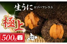 極上 エゾバフンウニ 500g（パック詰）配送期間D：4月上旬〜5月下旬迄 高級 うに ウニ 雲丹 生うに バフンウニ 塩水 パック詰め ふるさと納税 北海道 登別市