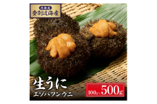 北海道 登別近海産 エゾバフンウニ パック詰 400g  ※6月以降順次お届け |うに ウニ 雲丹 生うに バフンウニ パック詰め ふるさと納税 北海道 登別市