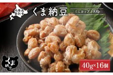北海道くま納豆ミニカップ 大粒 16個 《順次発送》 国産 なっとう ナットウ 高級 大豆 厳選 老舗 栄養 発酵 ふるさと納税 北海道 登別市