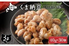 北海道くま納豆ミニカップ 大粒 30個 《順次発送》 国産 なっとう ナットウ 高級 大豆 厳選 老舗 栄養 発酵 ふるさと納税 北海道 登別市