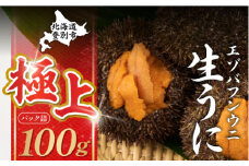 【6月-9月発送】先行予約 極上 エゾバフンウニ 100g（パック詰）配送期間A：6月上旬～9月上旬迄 | ふるさと納税 うに 高級 ウニ 雲丹 生ウニ エゾバフンウニ パックうに 北海道 登別 ふるさと 人気 ランキング 送料無料