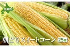 『★先行予約★8月初旬より順次発送』朝どり スイートコーン 25本 北海道産 とうもろこし ふるさと納税 北海道 恵庭市【31000102】