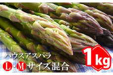【2024年3月下旬～4月中旬発送予定】ハウスアスパラ　L・Mサイズ混合1kg【290006】