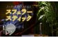 【世界初の全方位受光ソーラー】スフェラースティック（カラー：シルバー）