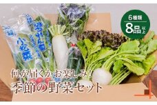 北海道産季節の野菜詰め合わせ 6種類8品【31000501】