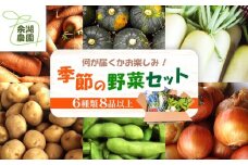 北海道産季節の野菜詰め合わせ 6種類8品【31000501】