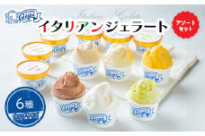 ジェラテリアGigiのイタリアンジェラート6種アソートセットカップサイズ 牛乳 ピスタチオ キャラメル チョコレート ティラミス マンゴー ジェラート アイス カップ 北海道 恵庭市 ふるさと納税 スイー ツ【43003101】