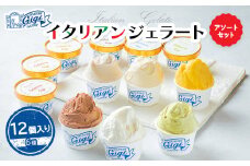 ジェラテリアGigiのイタリアンジェラート 6種12個入り アソートセット カップサイズ 牛乳 ピスタチオ キャラメル チョコレートティラミス マンゴー ジェラート アイス カップ 北海道 恵庭市 ふるさと納税 スイーツ【43000101】
