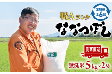 令和6年度産『定期便：全6回』【無洗米】たつや自慢の米 ななつぼし10kg（5kgｘ2袋）【35001101】