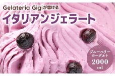 ジェラテリアGigiのイタリアンジェラート『ブルーベリーヨーグルト』2000ml ジェラート ブルーベリー ヨーグルト アイス gigi 業務用 2L 恵庭市 スイーツ 北海道 ふるさと納税 お取り寄せ グルメ【43002402】