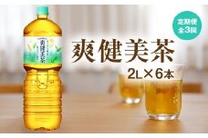 『定期便：全3回』爽健美茶2000mlPET×6本【38000801】