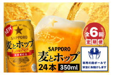 『定期便：全6回』麦とホップ350ml×24本【30008401】
