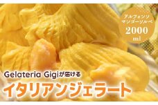 ジェラテリアGigiのイタリアンジェラート『アルフォンソマンゴーソルベ』2000ml ジェラート マンゴー アイス 北海道 gigi 業務用 2L 恵庭市 スイーツ 北海道 ふるさと納税 お取り寄せ グルメ【43002702】