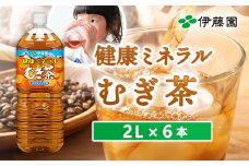 健康ミネラルむぎ茶2L×6本【500007】