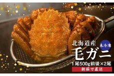 【配達地域限定】『冷蔵』朝茹で直送毛ガニ500g前後×2杯【52001203】