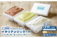 ジェラテリアGigiのイタリアンジェラート人気の味2種+選べる味の3種セット【43000402】
