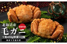 【訳あり品】【北海道産】『冷凍』毛ガニ450g前後×2杯【52000401】