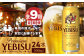 『定期便：全9回』ヱビスビール500ml×24本