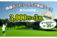 隨縁カントリークラブ恵庭コースゴルフ場利用券(3000円×3枚)
