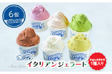 Gigiのイタリアンジェラート６種(Gigiのおまかせ1種入り）【カップサイズ6個】牛乳 ピスタチオ チョコ ブルーベリーヨーグルト Gigiが選ぶおまかせジェラート ジェラート アイス 北海道 恵庭市【43003201】