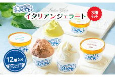 ジェラテリアGigiのイタリアンジェラート３種【カップサイズ12個入り】【43001701】