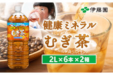 健康ミネラル麦茶2L×6本×2箱【500004】