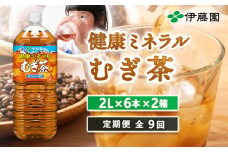 『定期便：全9回』健康ミネラル麦茶2L×6本×2箱【500021】
