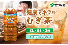 『定期便：全12回』健康ミネラル麦茶2L×6本×2箱【500024】