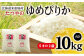 【定期便：全3回】北海道米「恵庭産たつやのゆめぴりか」5kg×2袋