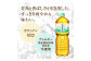 『定期便：全2回』爽健美茶2L×6本