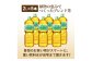 『定期便：全2回』爽健美茶2L×6本