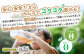 『定期便：全4回』健康ミネラルむぎ茶2L×6本