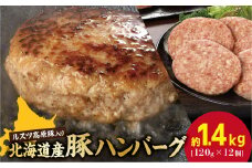 お肉屋さんの手作り北海道産豚ハンバーグルスツ高原豚入り！120g×12個 ハンバーグ セット 冷凍 レンジ 国産 豚 お取り寄せ ふるさと納税 北海道 120g 12個 ルスツ高原豚 恵庭市 恵庭【56000801】