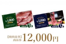 【焼肉春華】商品券12,000円【16027】