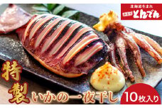 特製いかの一夜干し(10枚入り）【44001501】