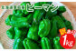 訳あり・北海道恵庭産ピーマン　1kg