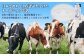 《配送地域限定》明治オーガニック牛乳 900ml【2本】