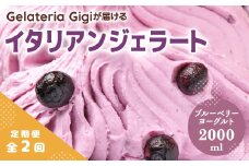 【定期便2回】 ジェラテリアGigi イタリアンジェラート ブルーベリーヨーグルト 2000ml ジェラート ブルーベリー アイス gigi 業務用 2L スイーツ お取り寄せ グルメ 定期便 2回 ふるさと納税 北海道【43005702】