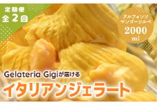 【定期便2回】 ジェラテリアGigi イタリアンジェラート アルフォンソマンゴーソルベ 2000ml ジェラート マンゴー アイス gigi 業務用 2L スイーツ お取り寄せ グルメ 定期便 2回 ふるさと納税 北海道【43006302】