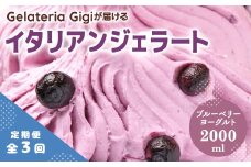 【定期便3回】 ジェラテリアGigi イタリアンジェラート ブルーベリー 2000ml ジェラート ブルーベリー ヨーグルト アイス gigi 業務用 2L スイーツ お取り寄せ グルメ 定期便 3回 ふるさと納税 北海道【43005802】