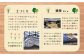 【先行予約】1年草でブルーガーデン（20ポット以上）
