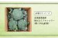 北海道恵庭産採れたてブロッコリー3個